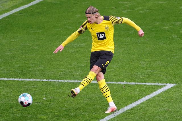 术多变性 术多变性